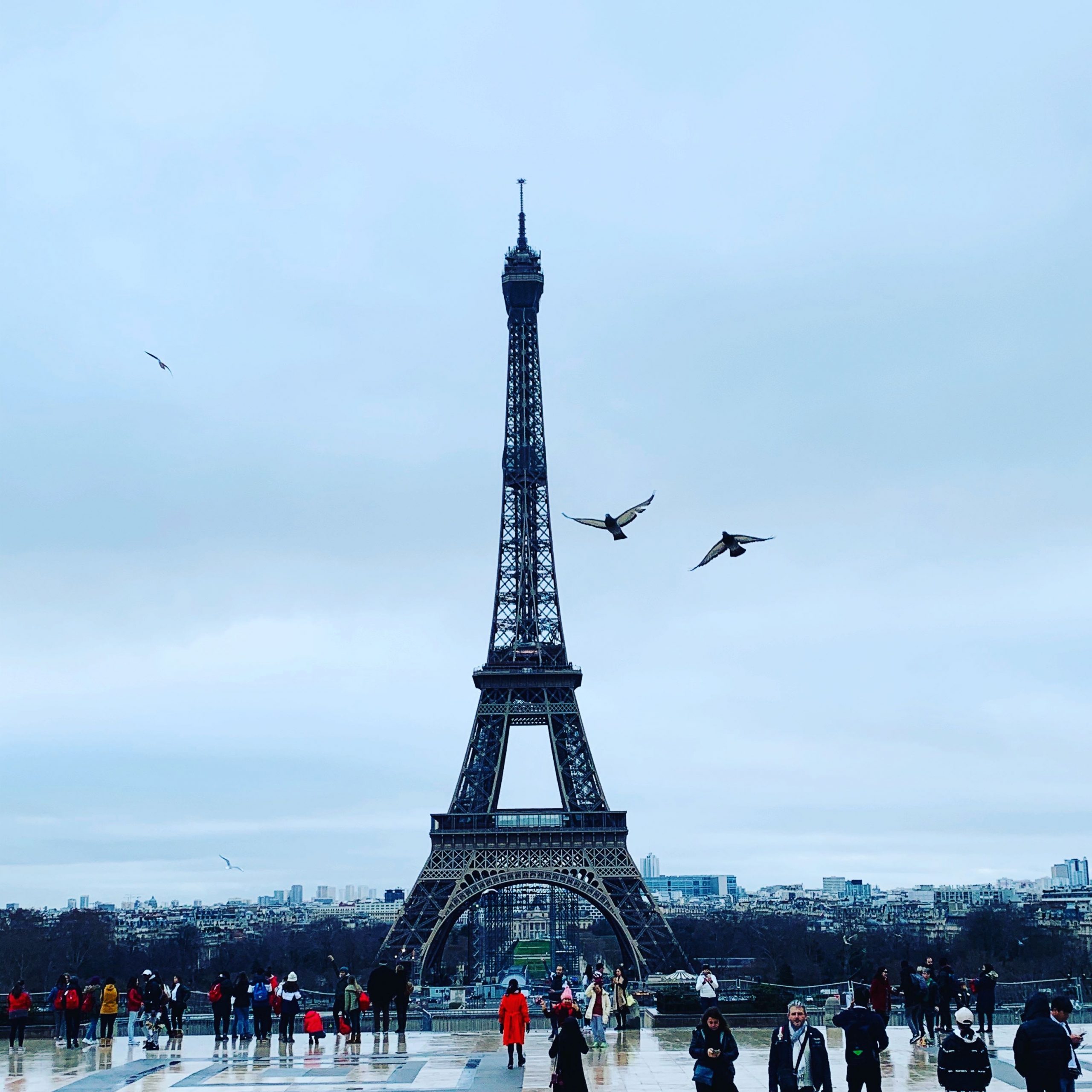 5 essential apps in Paris for newcomers