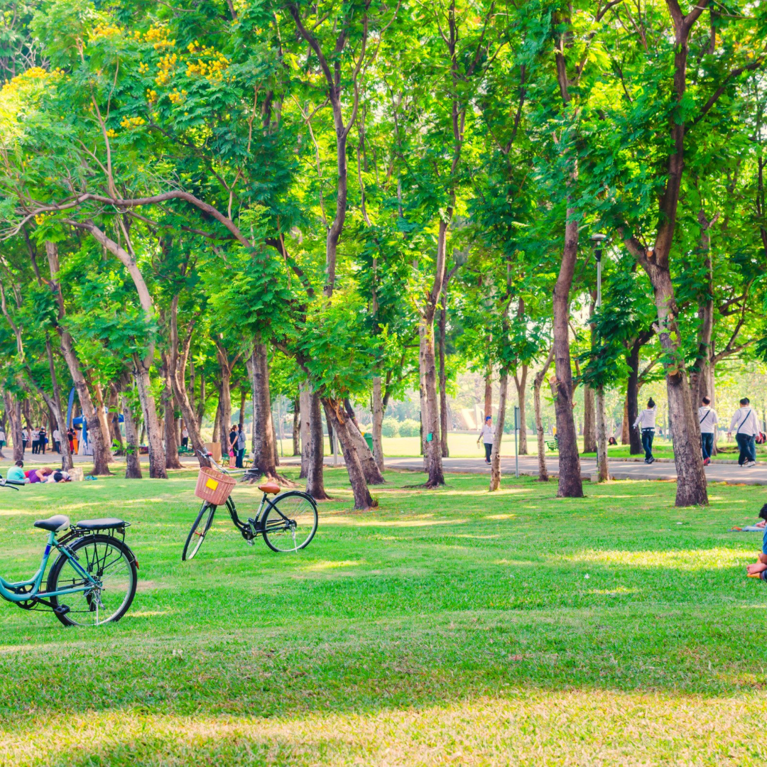 Expat enjoying quiet time in one of the best parks in Paris for expats