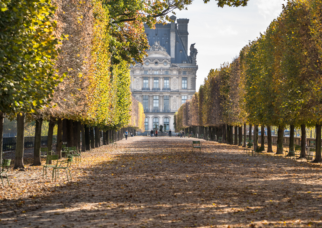 Autumn in Paris